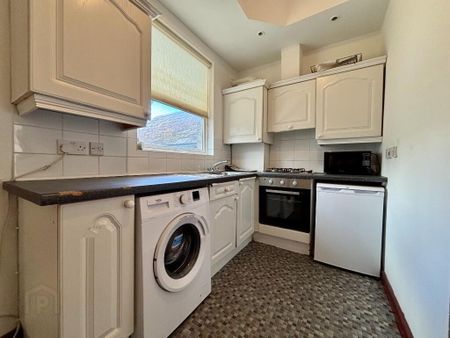 5 Abercorn Street, Belfast, BT9 6AS - Photo 5