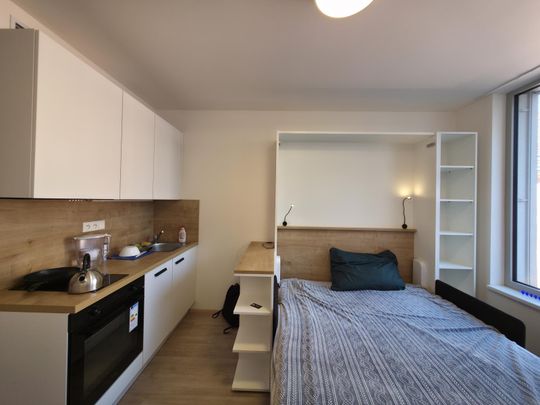 Pronájem bytu 1+kk a garsoniéry 20 m², Plzeňská , Praha - Photo 1