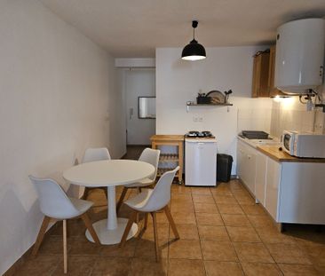 Location Appartement 1 pièce 29m² TAIN L HERMITAGE 26600 - Photo 2
