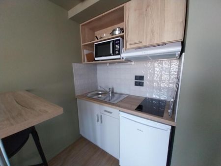 Location Appartement 1 pièce 19m² ORLEANS 45000 - Photo 3