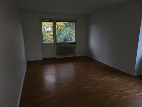 Vileborgsvägen, Fornåsa - Foto 1