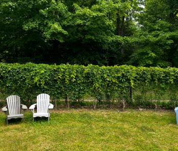 For Lease - 291 Serena Way, Barrhaven, Ontario - Photo 3