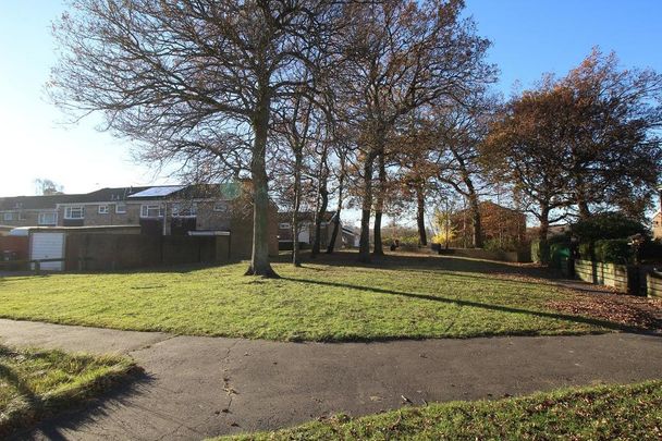 3 bedroom house to rent - Photo 1