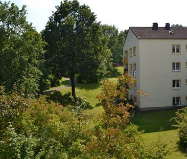 Demnächst frei! 2-Zimmer-Wohnung in Detmold Hiddeser Berg - Photo 1