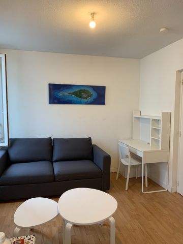 Location Appartement 1 pièce 17m² GRENOBLE 38000 - Photo 2