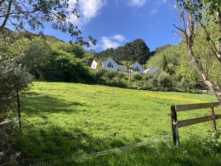 Waikanae - 4 Bedrooms + Self Contained Apartment + Grazing - Photo 3