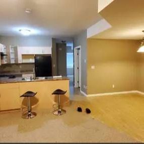 A single bedroom suite for rent -East Abbotsford - Photo 1