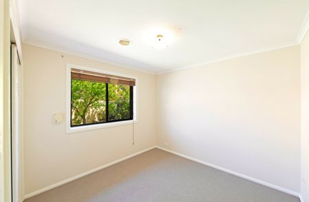 Family Home In Heart Of Bruce - Photo 5