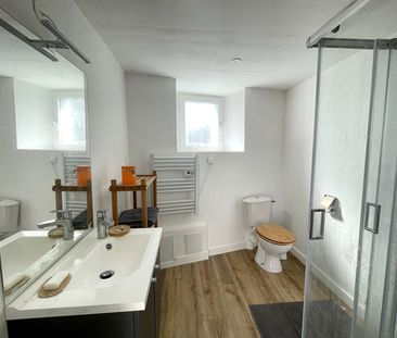 Location maison 2 pièces, 41.50m², Saint-Quentin-les-Anges - Photo 4