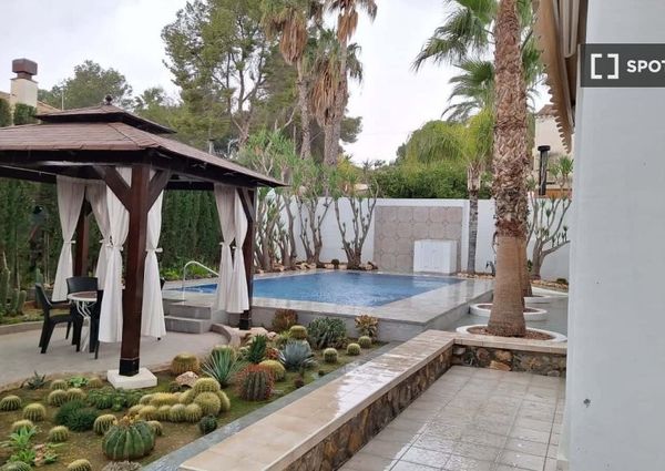 murcia, Region of Murcia 30566