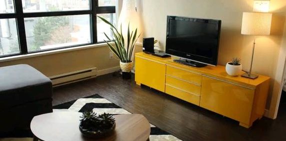 Amazing 1 Bedroom fully furnished for sublet - Photo 2