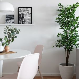 Nygårdsgatan 12 - Foto 2