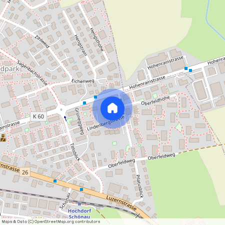 Lindenbergstrasse 6, 6280, Hochdorf