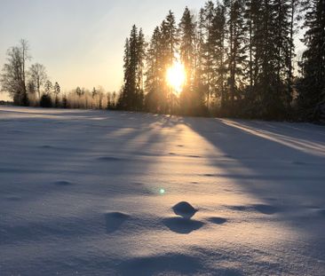 Skedvi-Morden, Stora Skedvi - Foto 2