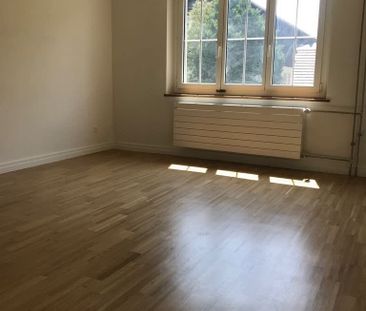 3 Zimmer, 54 m², EG - Foto 6