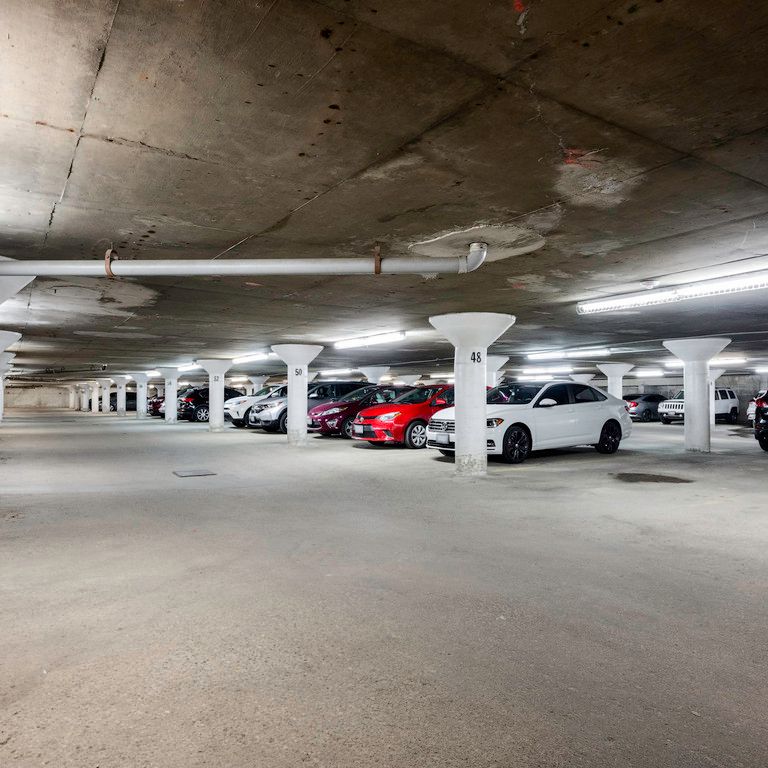 Regency Court Apartments - Kathleen - ALL INCLUSIVE - Photo 1