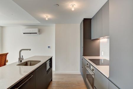 Appartement à louer - Montréal (Ville-Marie) (Centre) - Photo 3