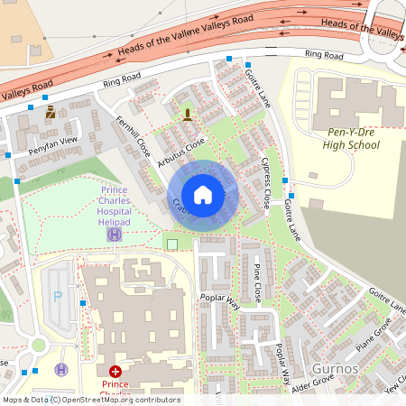 Crab Apple Close, Merthyr tydfil