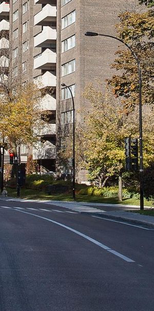195 Côte-Ste-Catherine Road - Studio - 195 Chemin De La Côte-Sainte-Catherine, Montréal - Photo 1
