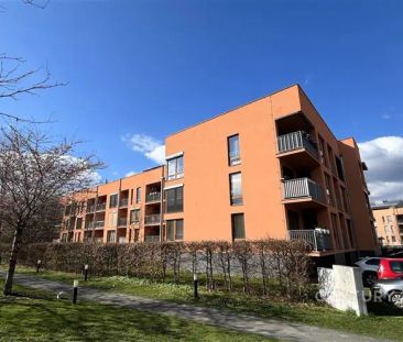 Pronájem bytu 2KK, 62 m - Photo 1