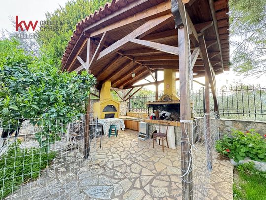 Διαμέρισμα για ενοικίαση Λουκίσια (Ανθηδώνος) - Photo 1