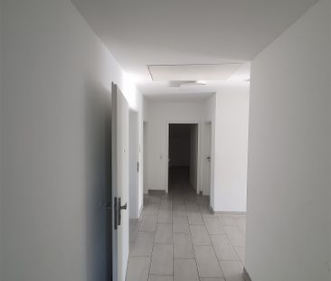 Großzügige Dachgeschosswohnung im Penthouse-Stil in Hoya zu vermieten - Photo 1