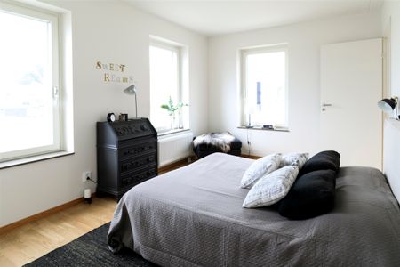 Nätsnäcksgränd, Limhamn - Photo 5