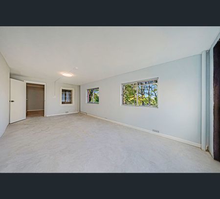 55 Archbold Road, Roseville, NSW 2069 - Photo 5