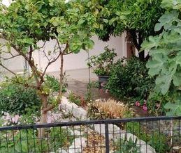 Loft για ενοικίαση - Αιγιάλεια, - Photo 6