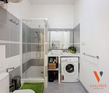 Location Appartement 1 pièce 29m² GRENOBLE 38000 - Photo 6