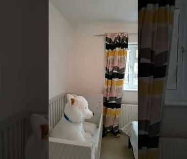 Room in a Shared House, Red Post Hill, SE24 - Photo 3