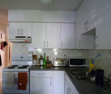 1 BEDROOM SUITE - PETS WELCOME - Photo 1