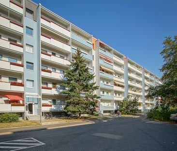 1-Zimmer Mietwohnung - Seidnitz/Dobritz - Photo 4