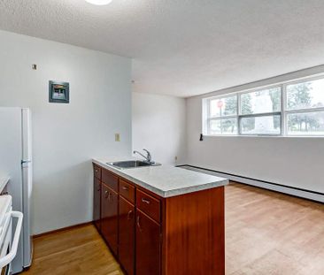 Renovated Suite - 1 Bedroom - Photo 5