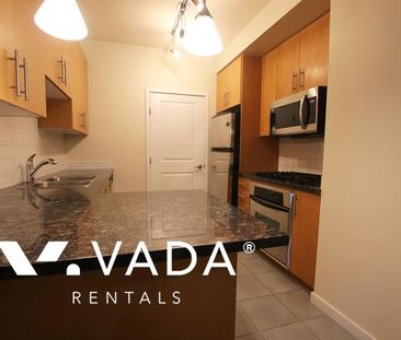 Unfurnished, 0 Bed 1 Bath Studio For Rent - Photo 6