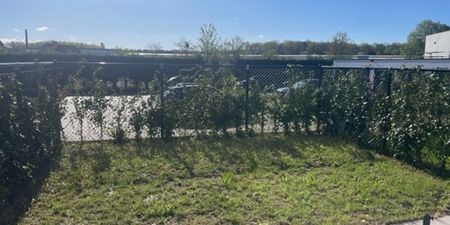 Appartement te huur in Beernem voor € 990 met 2 slaapkamers - Photo 4