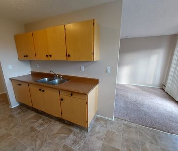 Pet Friendly 1 Bedroom Apartment. Laundry In-Suite - Photo 1