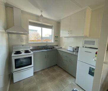 Partly Furnished Unit - Photo 5