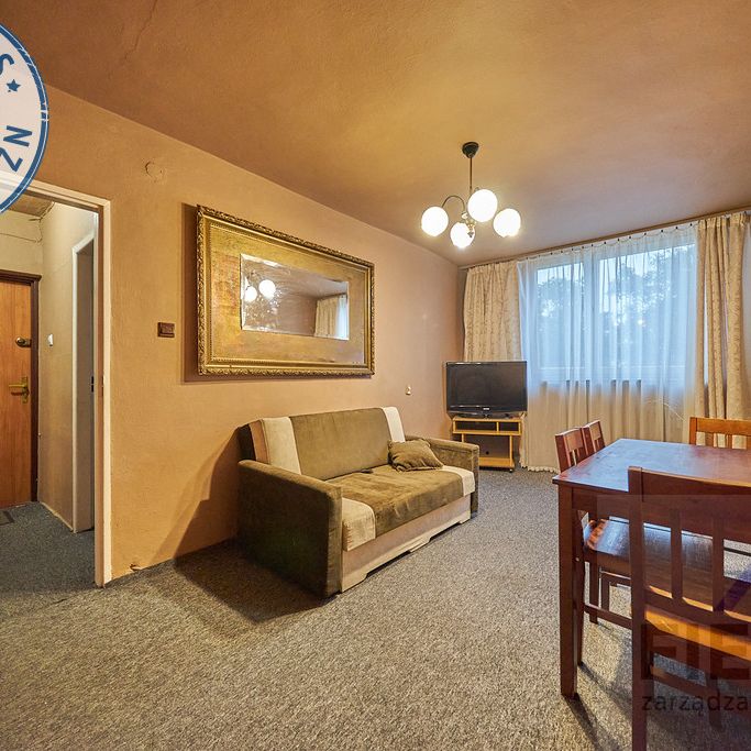 Lublin Kalinowszczyzna, ul. Stefana Okrzei - Photo 1