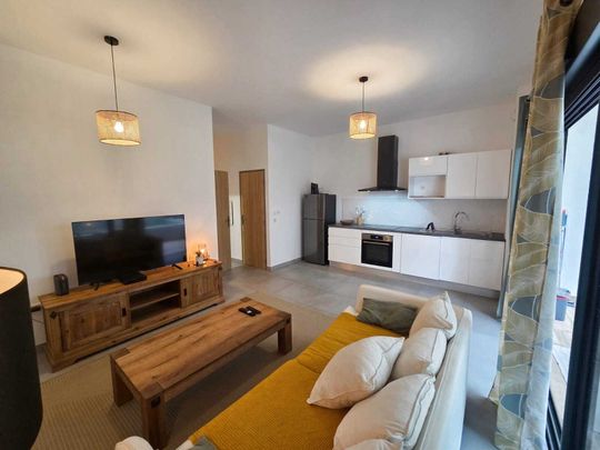Location Appartement 2 pièces 50m² ST PIERRE 97410 - Photo 1