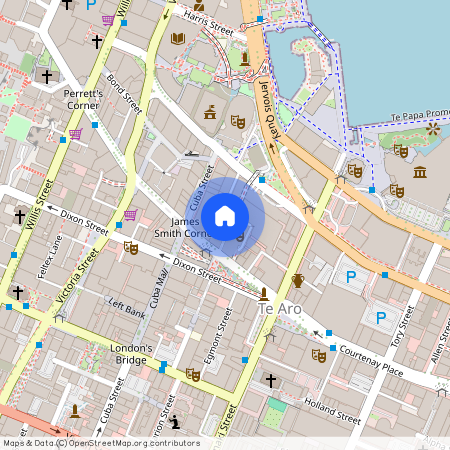 107 Manners Street, Te Aro, Wellington City