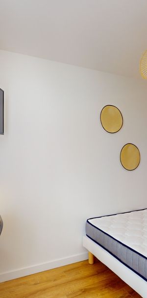 LOMBEZ F Roommate 4 Bedrooms at Toulouse - Photo 1