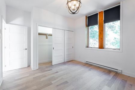 1620 Rue Dézéry, app.201, H1W 2R7, H1W 2R7, Montréal - Photo 3