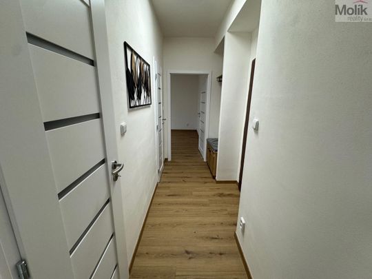 Pronájem bytu 2+1 53 m² - Photo 1