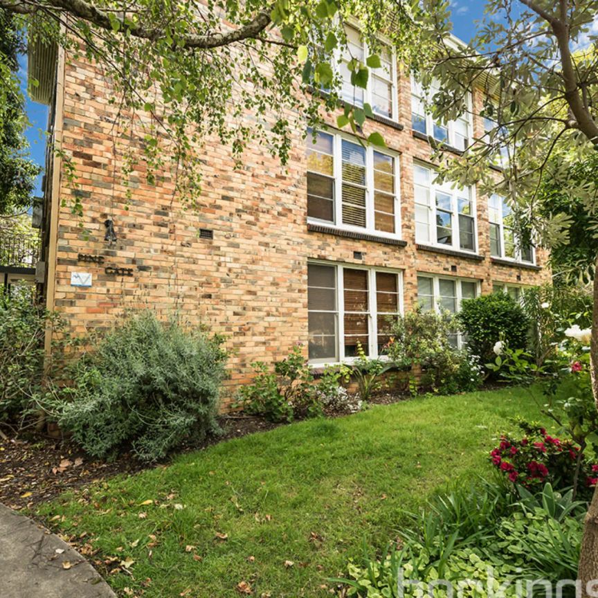 Beachside beauty - Photo 1