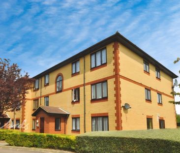 1 bedroom ground flat to rent - Photo 1