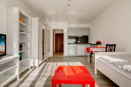 Nicely furnished apartment in Berg am Laim - Foto 4