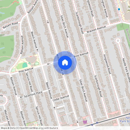 203 Willow Avenue, Toronto