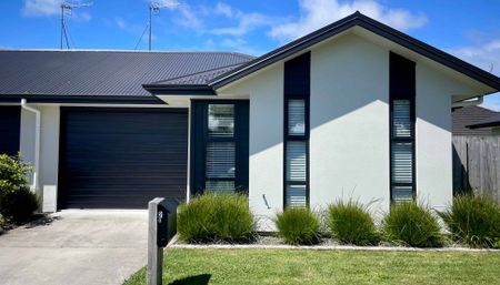 3/2 McNicol St - Photo 5