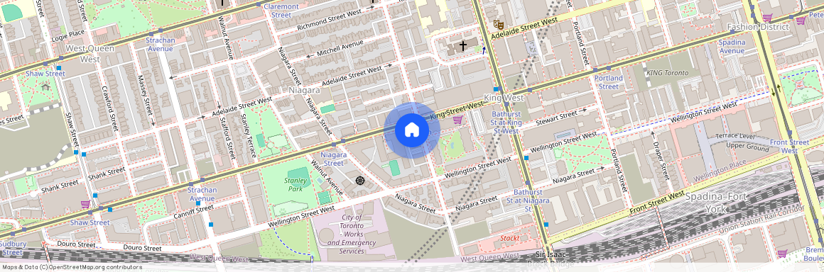 78 Tecumseth Street, Toronto